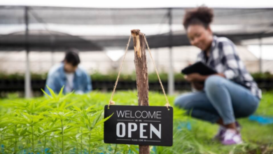 Green Horizons in Modern Cannabis Marketing